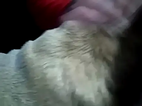 missthickness35 Pika online show from January 13, 2025, 3:45 am