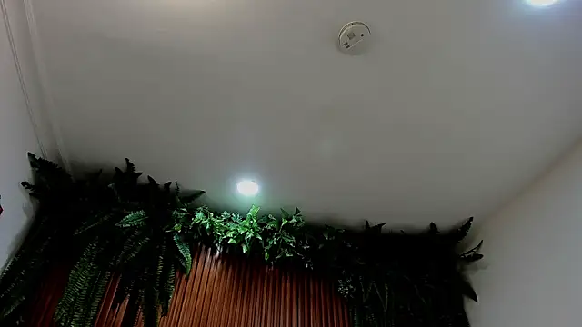 alice greco online show from March 6, 2026, 7:09 pm