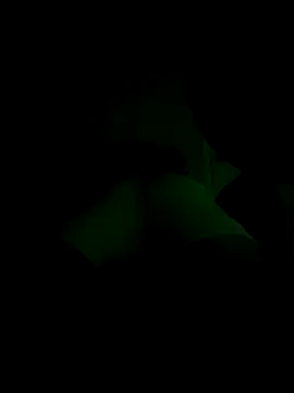 lRainbowBoy online show from November 14, 2025, 12:25 am