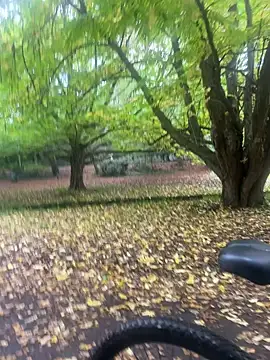 Shyboy817 online show from October 22, 2025, 2:49 pm