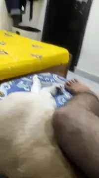 Snapshot of Believerrrr chatting on February 5, 2025, 4:59 am Believerrrr online show from February 5, 2025, 4:59 am