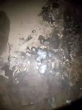 Rahul sharma horny online show from December 28, 2024, 3:59 pm