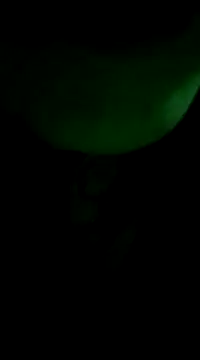 Amarista Lovely6 online show from December 8, 2024, 5:50 am