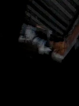 vulgovic  online show from March 4, 2026, 3:36 am