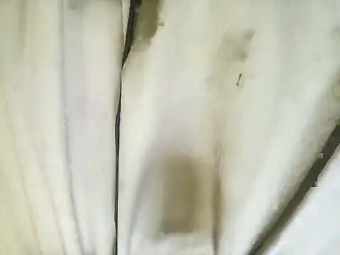 richa22cm online show from November 12, 2025, 2:21 pm