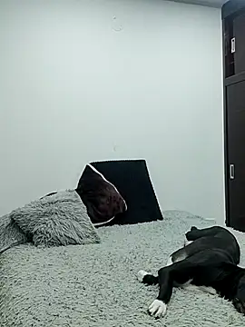 Snapshot of Mariam_Gomezxxx chatting on February 13, 2026, 12:32 am Mariam Gomezxxx online show from February 13, 2026, 12:32 am