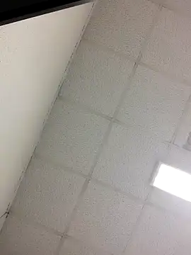 Fred bo online show from October 24, 2025, 4:17 pm