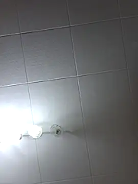 Snapshot of Javier_bear chatting on July 10, 2026, 8:20 pm Javier bear online show from July 10, 2026, 8:20 pm