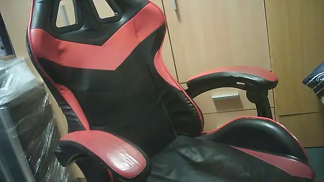 Javier bear online show from October 17, 2025, 8:06 am