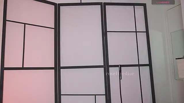 Snapshot of roselinedior chatting on March 6, 2026, 1:06 pm roselinedior online show from March 6, 2026, 1:06 pm