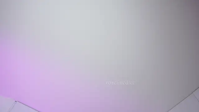 roselinedior online show from October 8, 2025, 3:46 pm