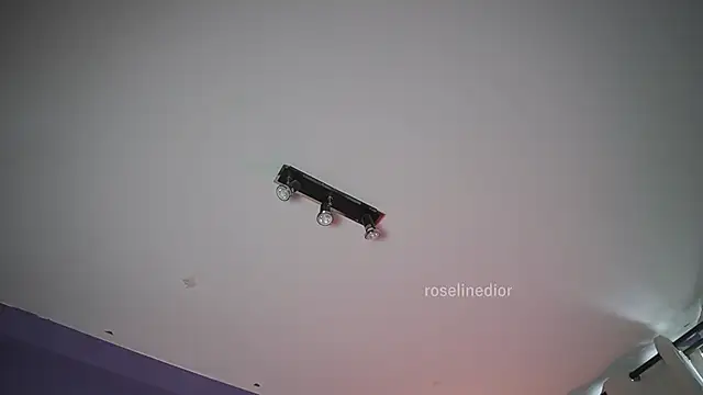 roselinedior online show from June 21, 2026, 7:08 pm