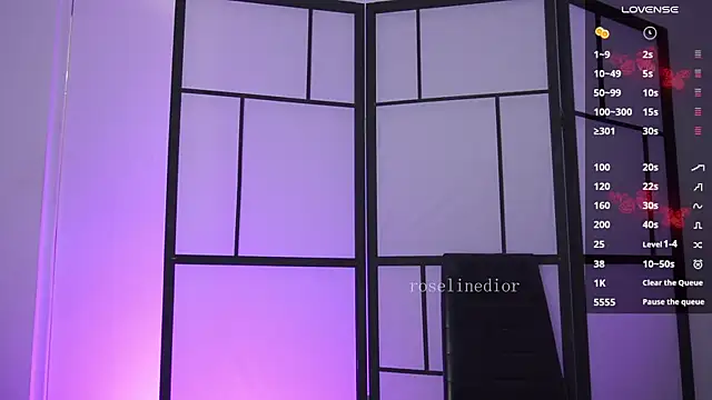 Snapshot of roselinedior chatting on February 17, 2026, 2:14 pm roselinedior online show from February 17, 2026, 2:14 pm