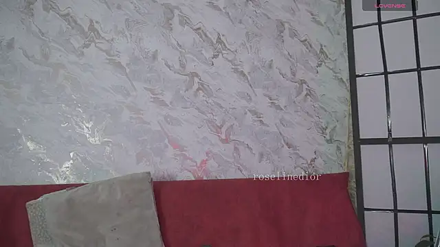 Snapshot of roselinedior chatting on March 17, 2026, 2:20 pm roselinedior online show from March 17, 2026, 2:20 pm