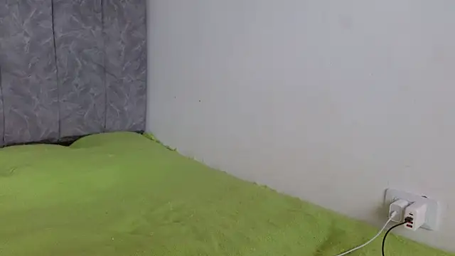 linda 33 online show from September 11, 2025, 3:56 pm