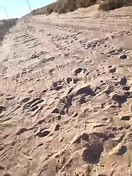 prettyboi6992 online show from March 1, 2026, 11:49 pm