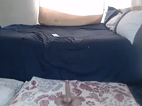 AdelaideT online show from February 26, 2026, 11:10 am