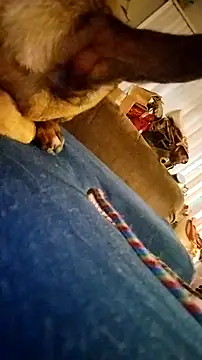 Snapshot of fukurbutt chatting on February 19, 2026, 3:42 pm fukurbutt online show from February 19, 2026, 3:42 pm