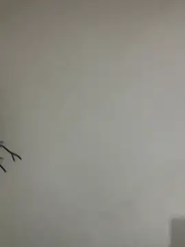 Snapshot of Veropig chatting on March 13, 2026, 3:17 pm Veropig online show from March 13, 2026, 3:17 pm