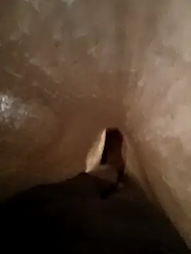 Snapshot of Shivaa- chatting on March 21, 2026, 8:19 am Shivaa- online show from March 21, 2026, 8:19 am