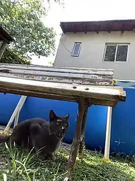 Snapshot of FlorBich chatting on February 3, 2026, 1:27 pm FlorBich online show from February 3, 2026, 1:27 pm