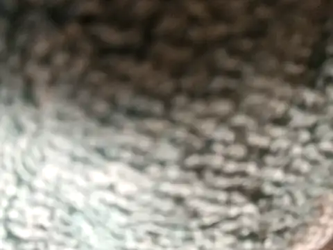 Amarok39 online show from December 16, 2025, 3:05 pm