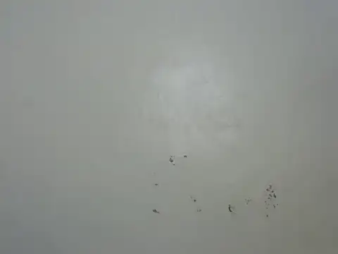 Snapshot of Rasta_tattooed chatting on February 6, 2026, 10:50 pm Rasta tattooed online show from February 6, 2026, 10:50 pm