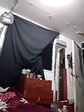 Venus2388 online show from February 11, 2026, 11:59 pm