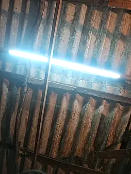 Snapshot of HotSexyBoudi chatting on December 17, 2025, 9:03 am HotSexyBoudi online show from December 17, 2025, 9:03 am