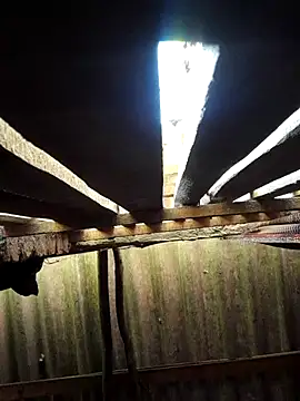 Snapshot of HotSexyBoudi chatting on September 29, 2025, 8:43 am HotSexyBoudi online show from September 29, 2025, 8:43 am