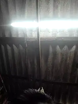 Snapshot of HotSexyBoudi chatting on November 26, 2025, 8:58 am HotSexyBoudi online show from November 26, 2025, 8:58 am