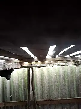 Snapshot of HotSexyBoudi chatting on October 12, 2025, 8:26 am HotSexyBoudi online show from October 12, 2025, 8:26 am