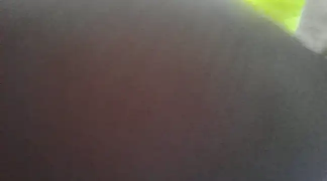 Chitrani- online show from January 16, 2025, 9:37 am