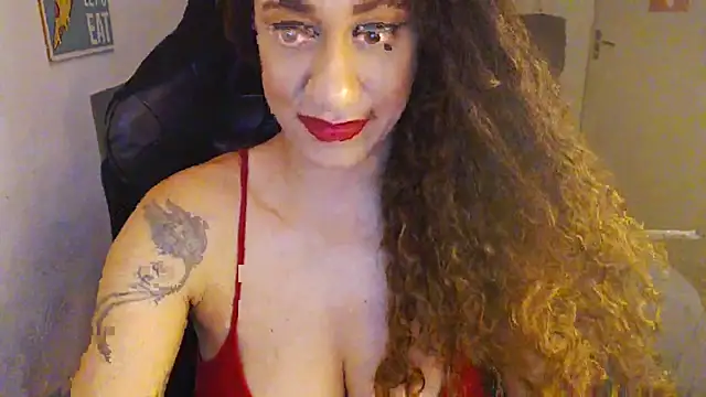 gauchinhaG online show from February 18, 2026, 2:57 pm