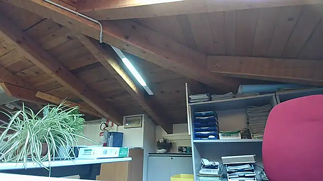 TWENTYONE0021 online show from January 24, 2025, 10:21 am