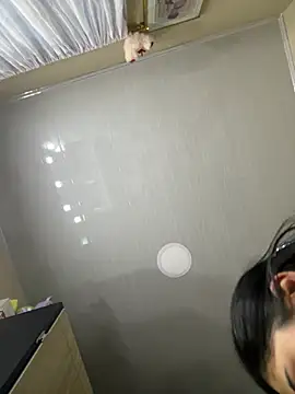 PaulinaDuarte online show from February 3, 2026, 11:15 am