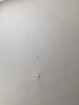 MuscleBoyy777 online show from March 20, 2025, 11:05 am