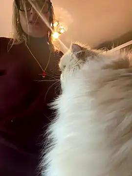 casalinga88 online show from November 3, 2025, 12:20 pm