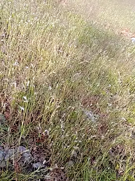 sexoooj online show from October 22, 2025, 10:36 am