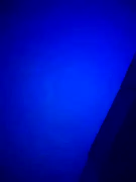 Buddy Cuck online show from March 27, 2026, 10:49 am