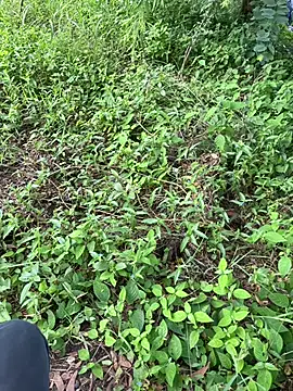 Miss  Malaika online show from October 5, 2025, 5:31 am