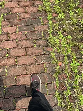 Miss  Malaika online show from October 8, 2025, 7:43 am