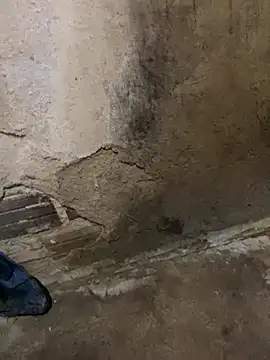 s1437jdjjddjjshbx online show from March 9, 2025, 9:35 am