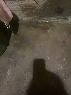 s1437jdjjddjjshbx online show from March 3, 2025, 7:57 am