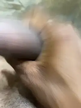 s1437jdjjddjjshbx online show from October 1, 2025, 3:49 pm