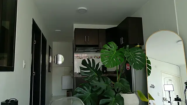 Snapshot of MikeRoss7777 chatting on October 28, 2025, 3:11 pm MikeRoss7777 online show from October 28, 2025, 3:11 pm