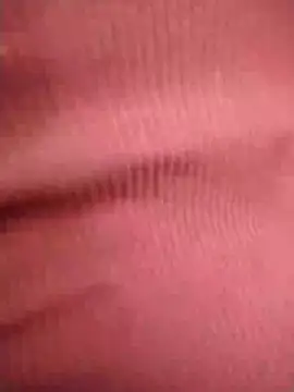 Ariana-pp03 online show from February 18, 2025, 3:31 pm