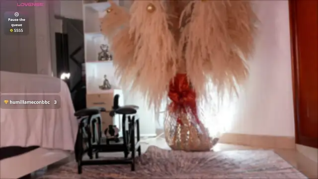 niiaa1 online show from November 12, 2025, 3:21 am