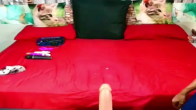 Indian Blaze00 online show from January 31, 2026, 7:12 pm