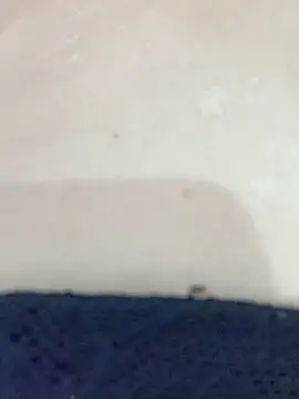 By Aninha online show from November 12, 2025, 8:40 am